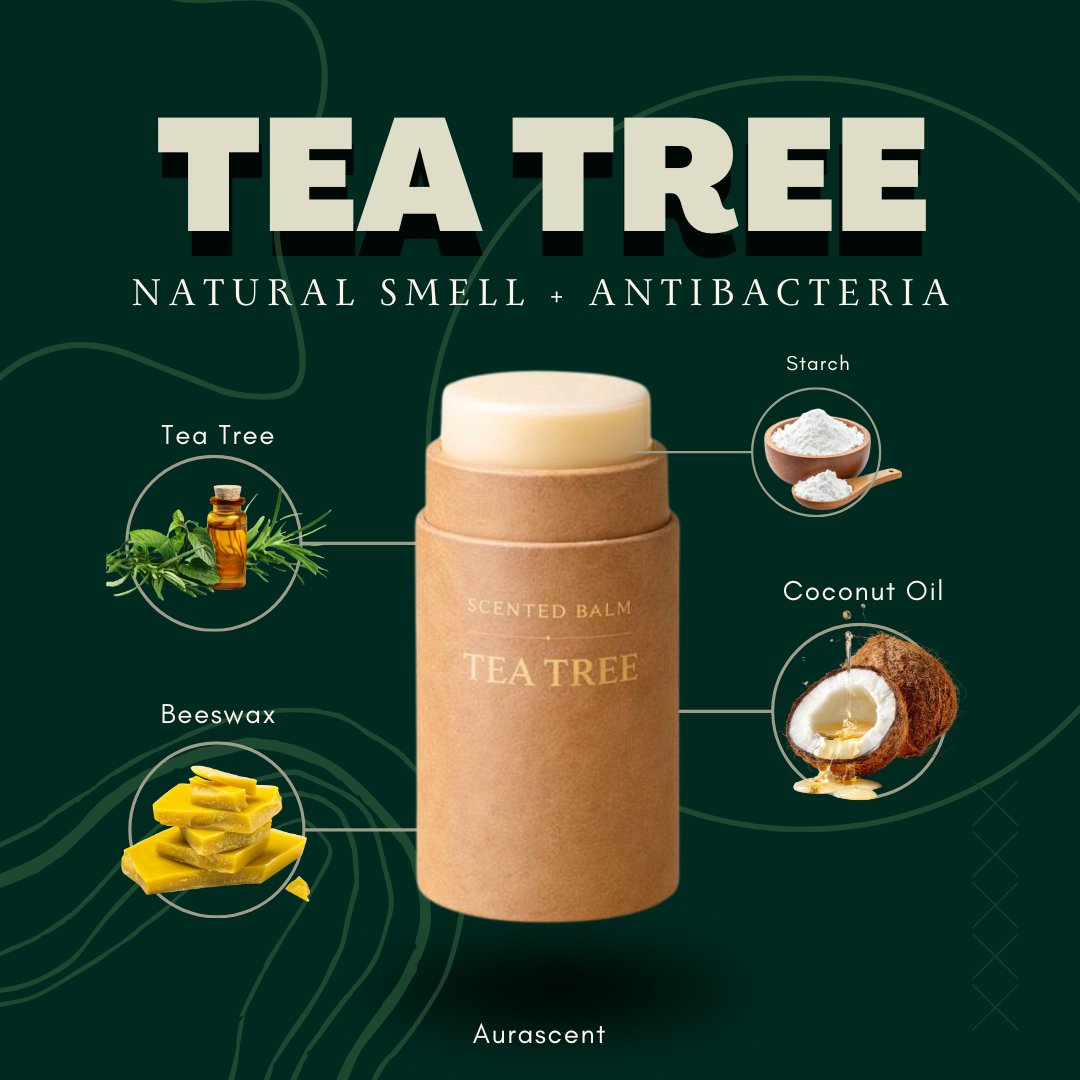 【Fast Shipping】 Tea Tree Antibacterial Balm (5g) | Natural Odor Control & Pocket Perfume